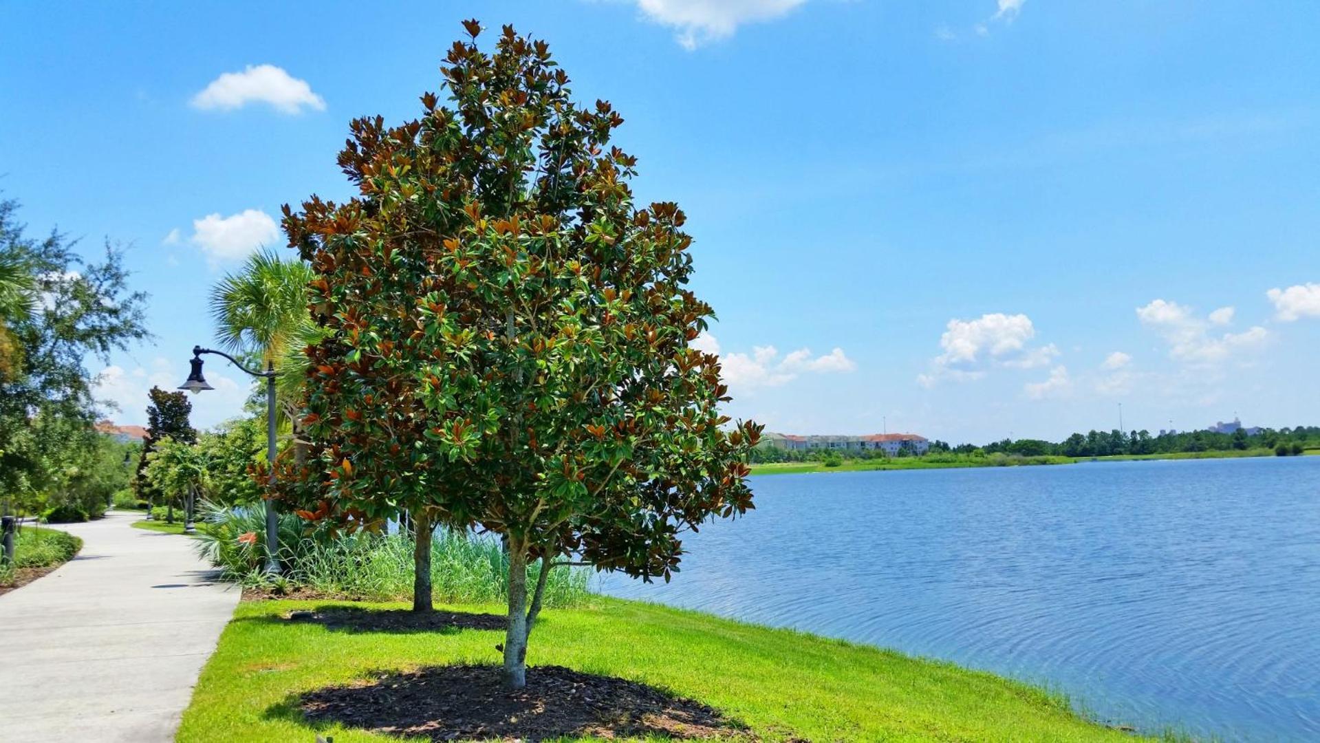 Resort Townhome: Perfect Orlando Vacation Spot מראה חיצוני תמונה